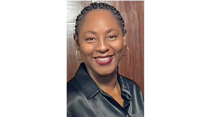 Africa: HDI Global appoints new general manager